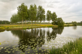Oude Leie-arm Vosselare