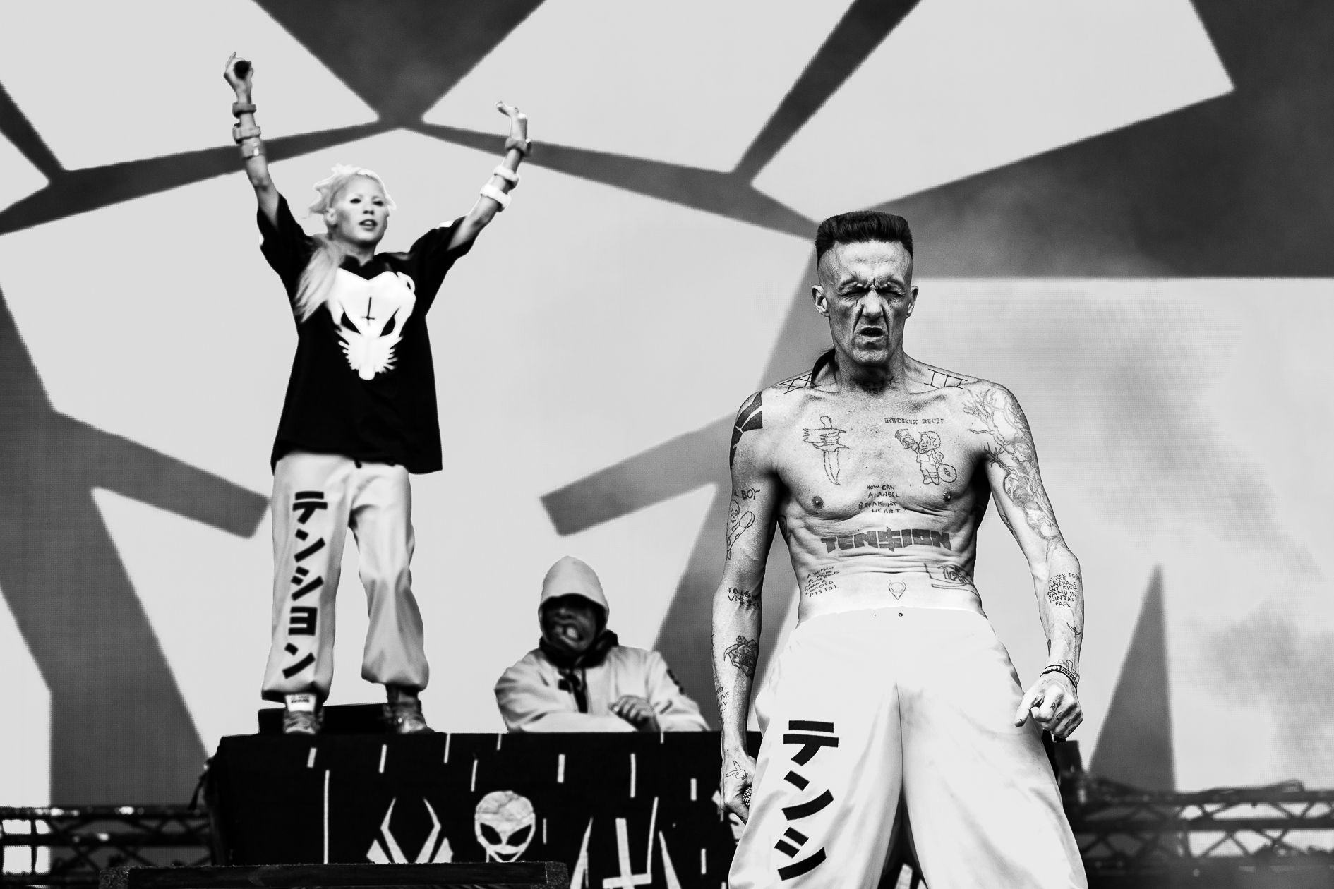 Die Antwoord
