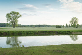 Oude Leie-arm Vosselare