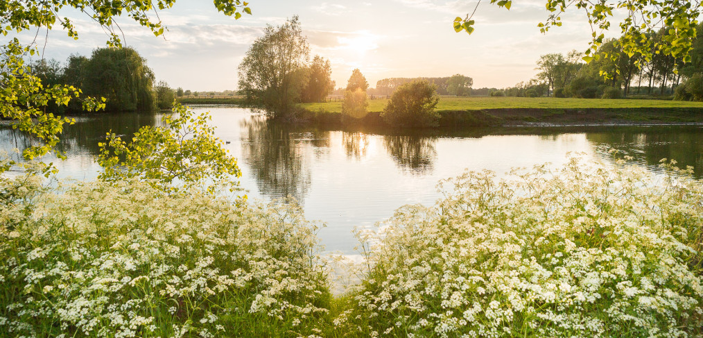 Oude Leie-arm Vosselare