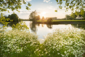 Oude Leie-arm Vosselare