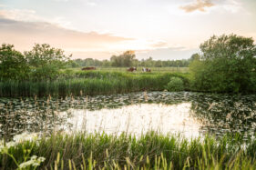 Oude Leie-arm Vosselare