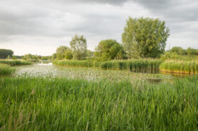 Oude Leie-arm Vosselare