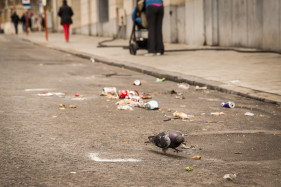 Gentse Feesten- The day after