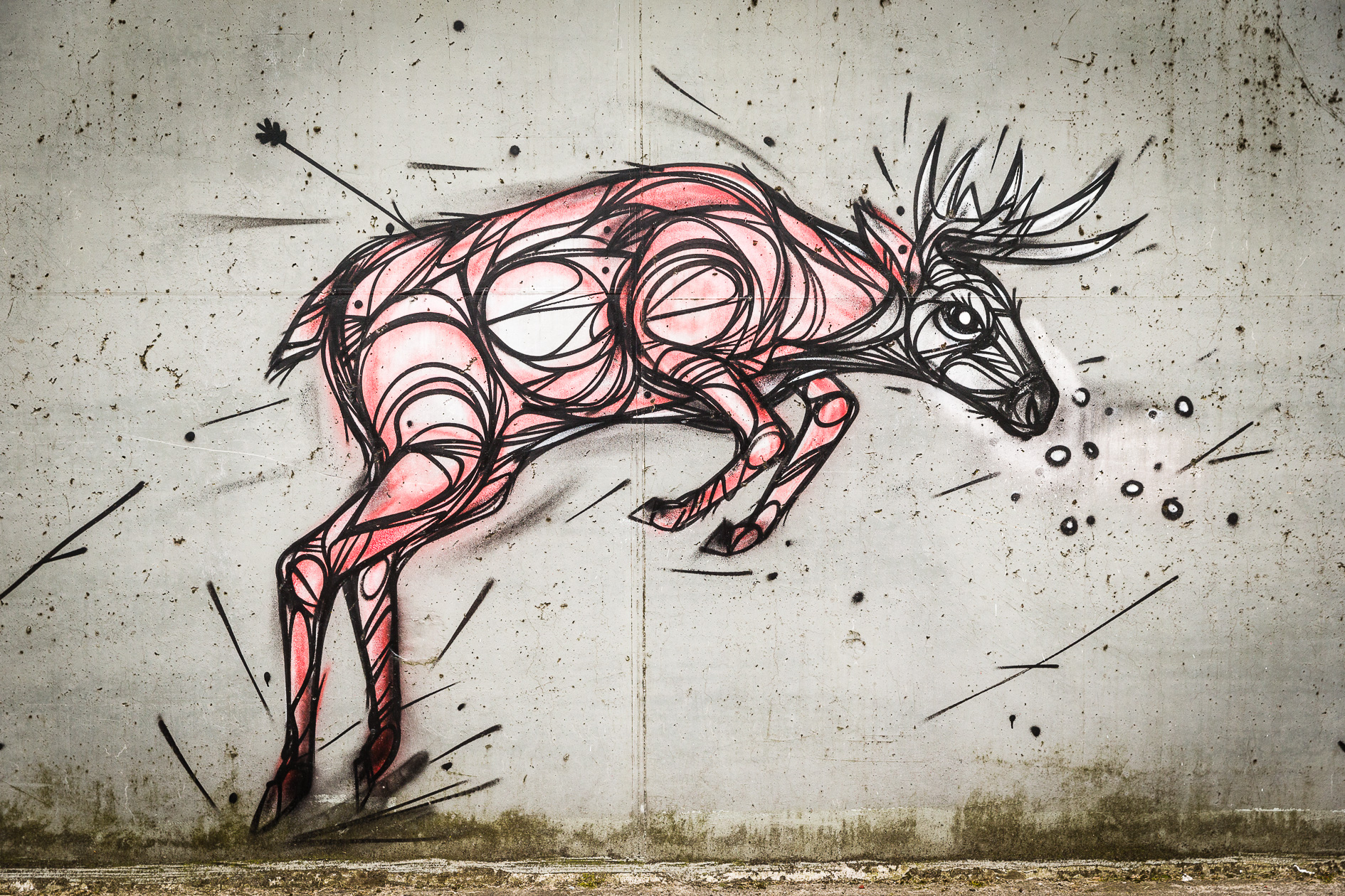 Graffiti Dzia
