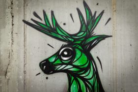 Graffiti fietstunnel Bornem, hertjes, Artist: Dzia.