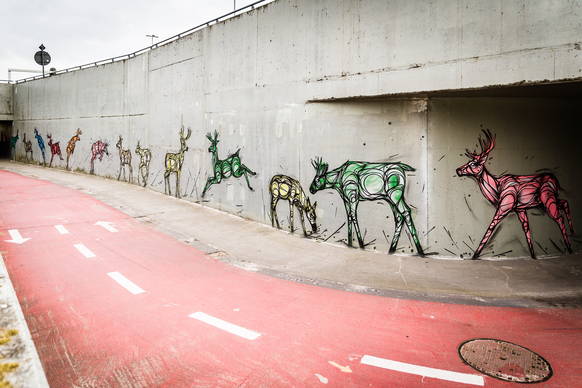 Graffiti Dzia