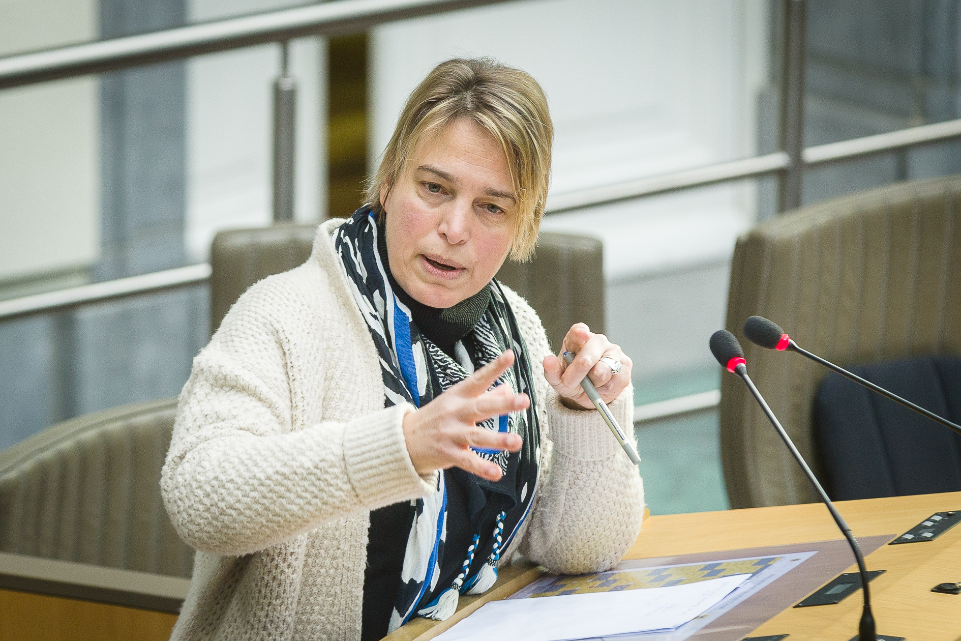 Plenaire Zitting Vlaams Parlement